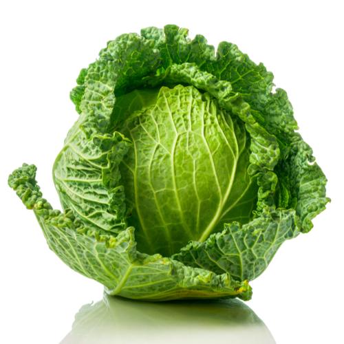Cabbage