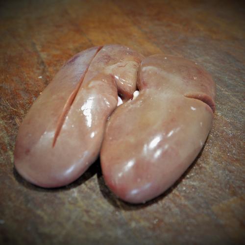 Pigs Kidney